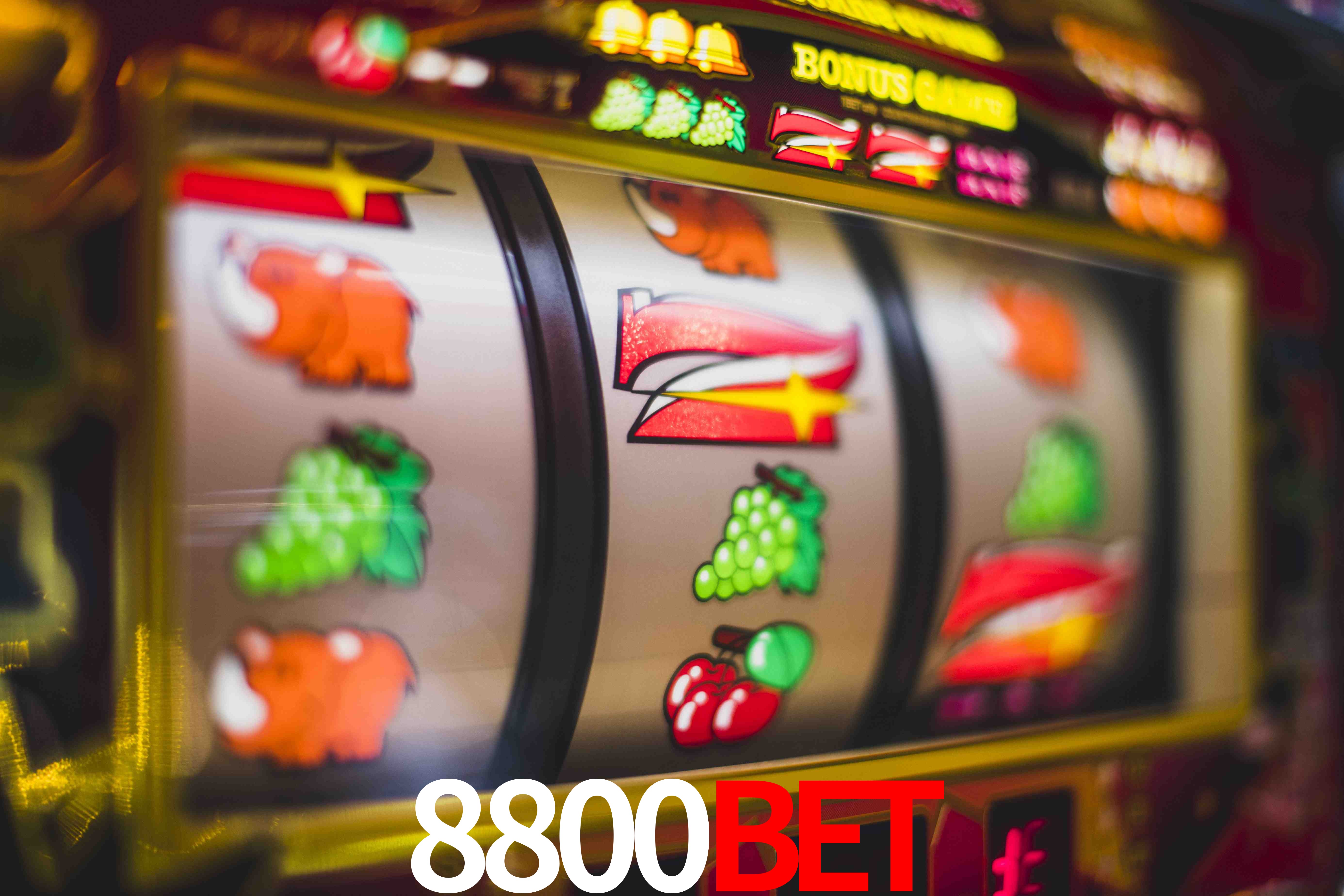 Basketball Betting 8800BET